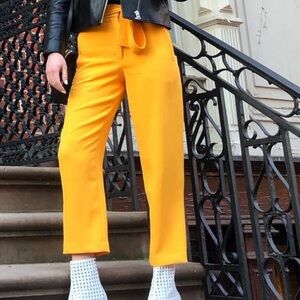 Aritzia Wilfred Tie-Front Pant